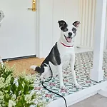 Farmhouse Motel 